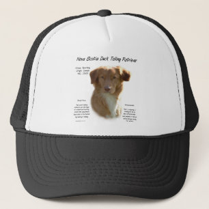 Gorra De Camionero Diseño del historial de recuperación de peaje de p