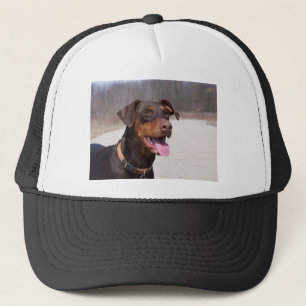 Gorra De Camionero Doberman