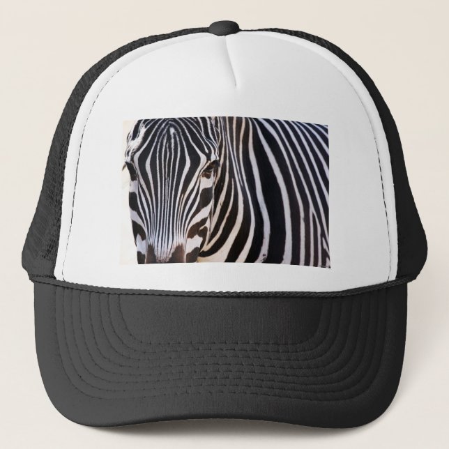 Gorra De Camionero ¿Dónde Está La Cebra? (Anverso)
