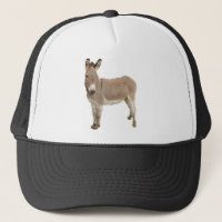 Donkey Photograph Design