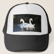 Dos cisnes y un pato