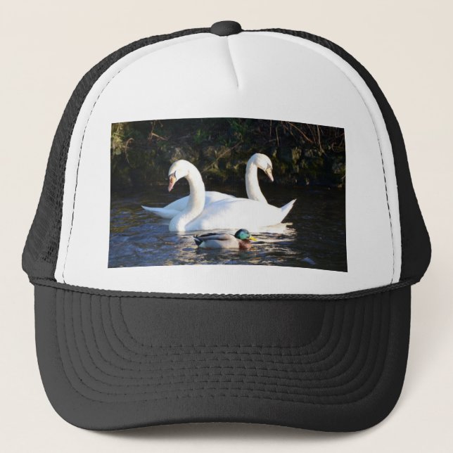 Gorra De Camionero Dos cisnes y un pato (Anverso)