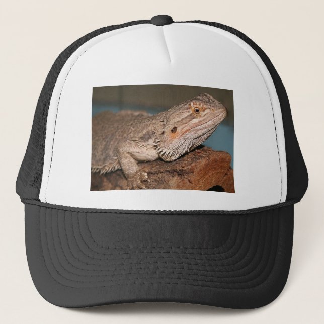 Gorra De Camionero Dragón barbudo (Anverso)