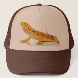 Gorra De Camionero Dragón barbudo
