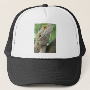 Gorra De Camionero Dragón barbudo