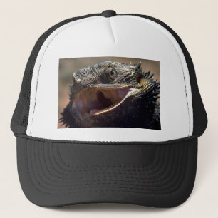 Gorra De Camionero Dragón barbudo, Australia