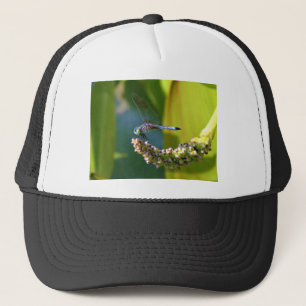 Gorra De Camionero Dragón de ojos verde azulados