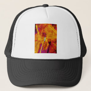 Gorra De Camionero Dragonfly arcoiris sobre ámbar y fuschia