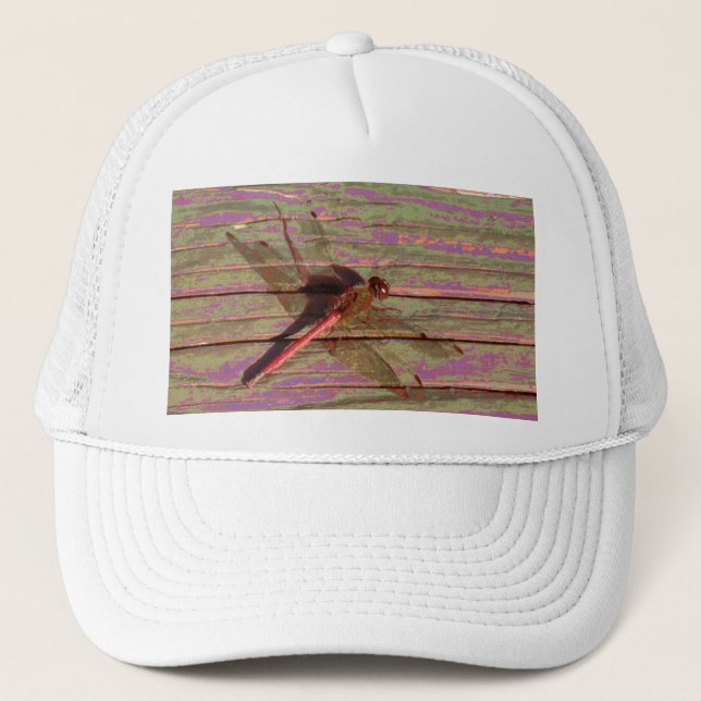 Gorra De Camionero Dragonfly Colorful (Anverso)