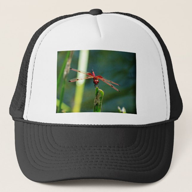 Gorra De Camionero Dragonfly Frontal Rojo y Negro (Anverso)