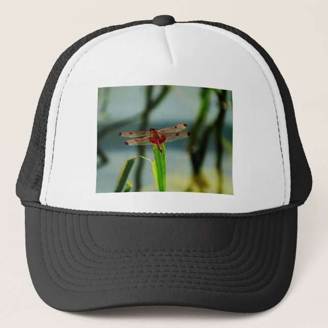 Gorra De Camionero Dragonfly rojo y negro visto (Anverso)