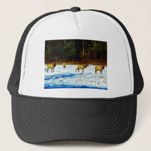 GORRA DE CAMIONERO DSC00131.JPG