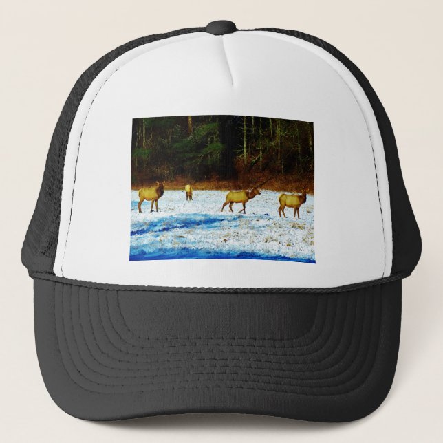 GORRA DE CAMIONERO DSC00131.JPG (Anverso)