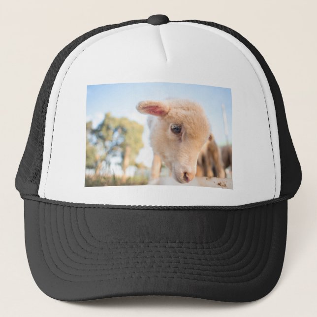 GORRA DE CAMIONERO _DSC2491 (Anverso)