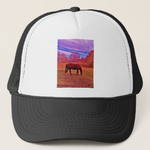 GORRA DE CAMIONERO DSCF0536.JPG