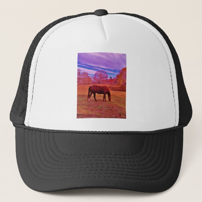 GORRA DE CAMIONERO DSCF0536.JPG (Anverso)
