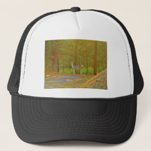 GORRA DE CAMIONERO DSCF4041.JPG