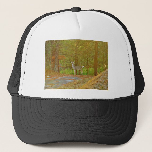 GORRA DE CAMIONERO DSCF4041.JPG (Anverso)