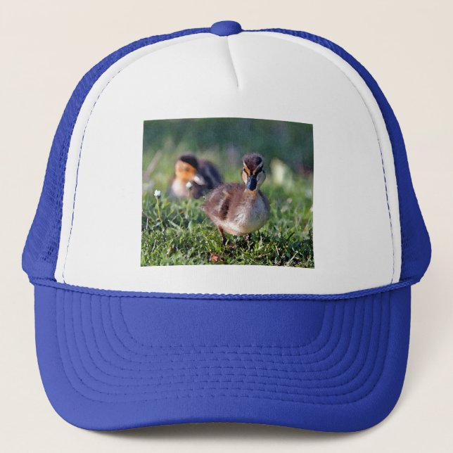 Gorra De Camionero Duckling (Anverso)