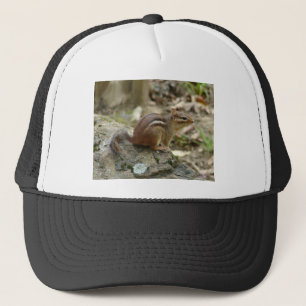 Gorra De Camionero Dulce Chipmunk Hot Springs National Park Regalos