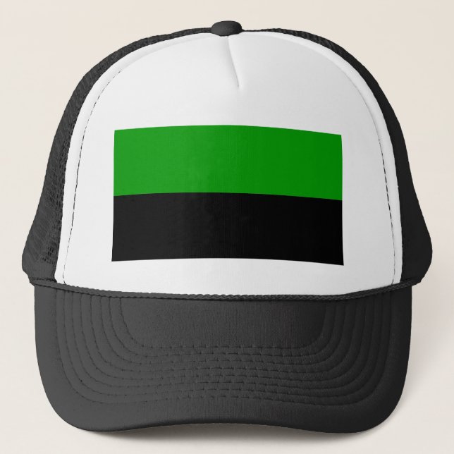 Gorra De Camionero Duna - casa Atreides de la bandera (Anverso)