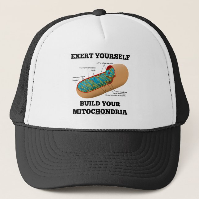 Gorra De Camionero Ejérzase estructura sus mitocondrias (Anverso)