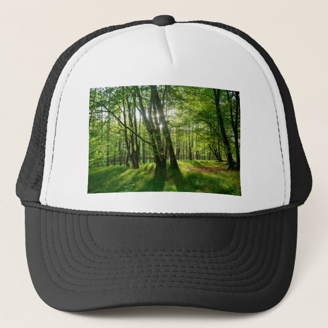 Gorra De Camionero El bosque en primavera (Anverso)