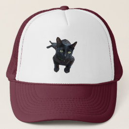 Gorra De Camionero El fascinante encanto del gato negro