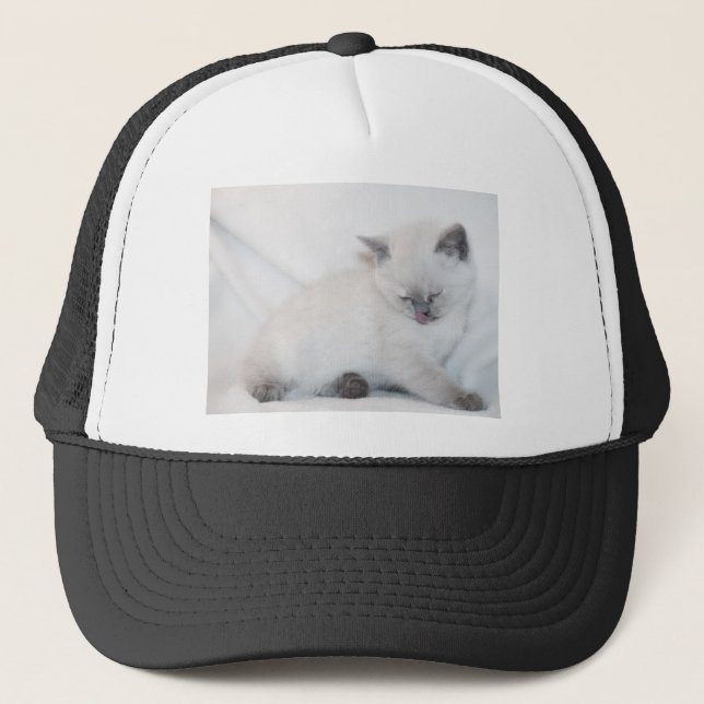 Gorra De Camionero El gato blanco se prepara (Anverso)