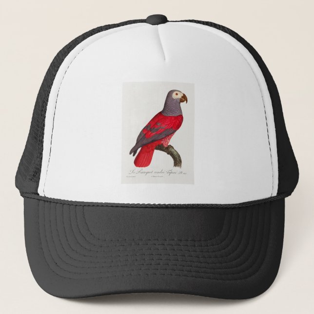 Gorra De Camionero El loro rojo gris, Psittacus erithacus (Anverso)