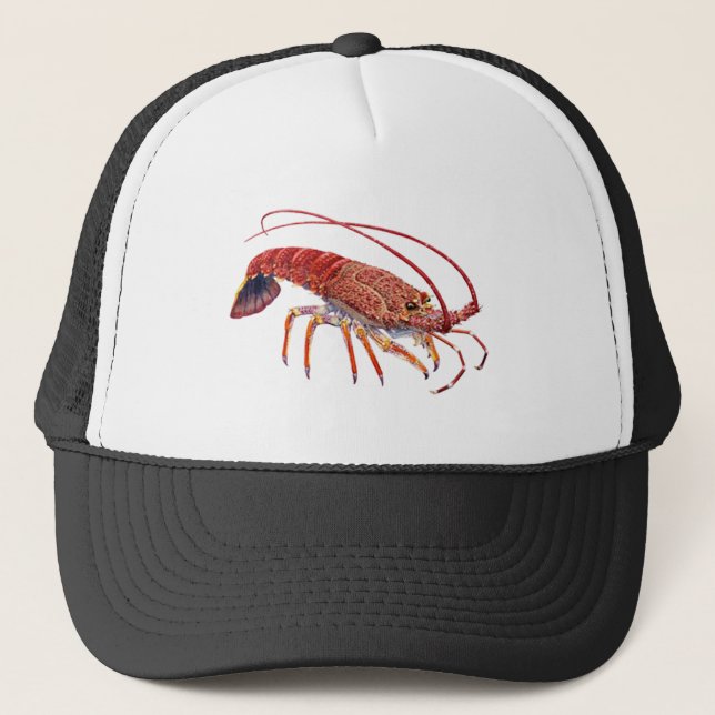GORRA DE CAMIONERO EL SPINEY UNO (Anverso)