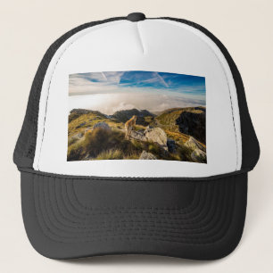 Gorra De Camionero El viaje