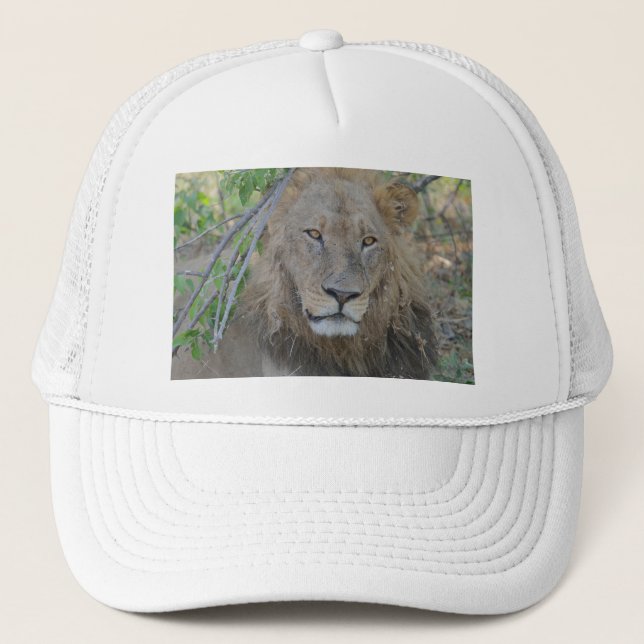 Gorra De Camionero El Viejo León Colgando. (Anverso)