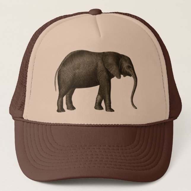 Gorra De Camionero Elefante (Anverso)