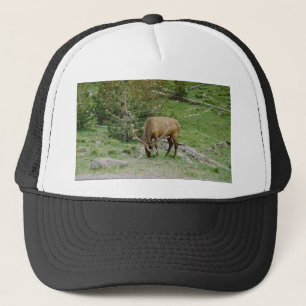 Gorra De Camionero Elk Con Antlers De Terciopelo