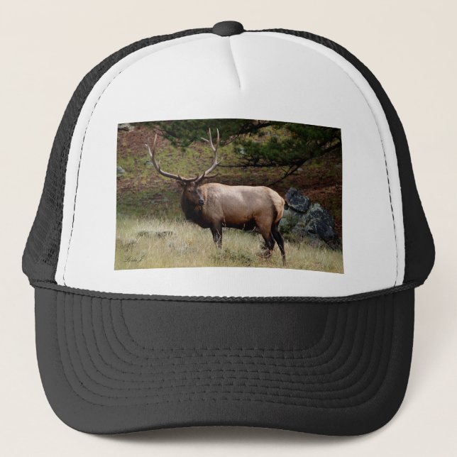 Gorra De Camionero Elk in the Wild (Anverso)