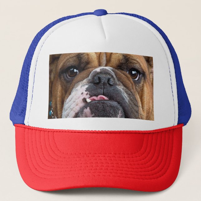 Gorra De Camionero English Bulldog  Throw Pillow (Anverso)