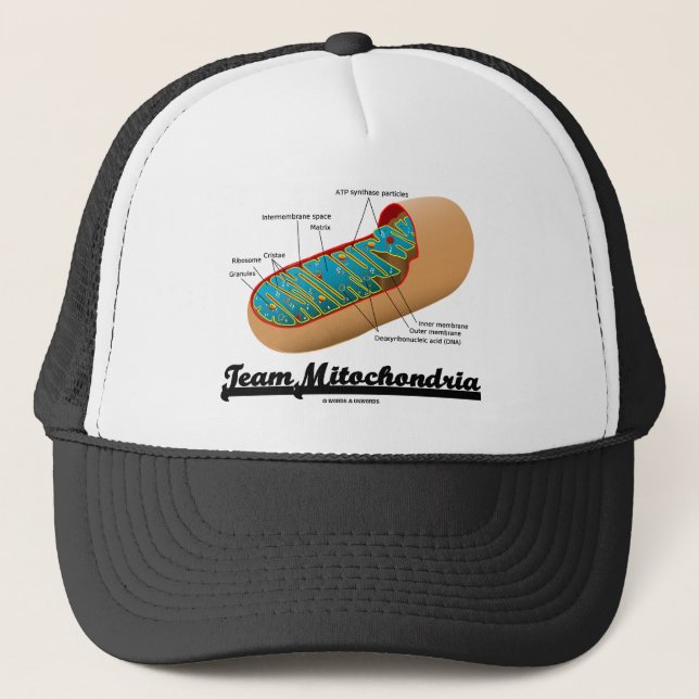 Gorra De Camionero Equipo Mitochondria (Humor Mitochondrion) (Anverso)