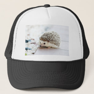 Gorra De Camionero Erizo