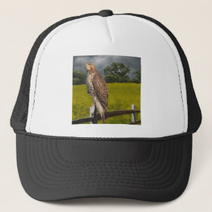 Gorra De Camionero Esperando a la tormenta - Halcón cola roja