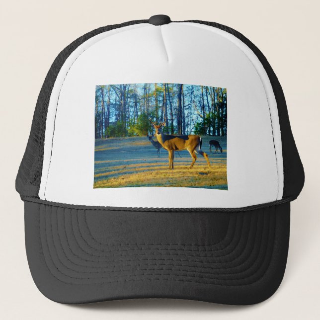 Gorra De Camionero Estadio/Deer Buck, cielo azul brillante (Anverso)
