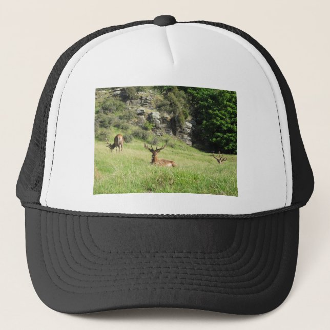 Gorra De Camionero Estadios de Nueva Zelanda (Anverso)