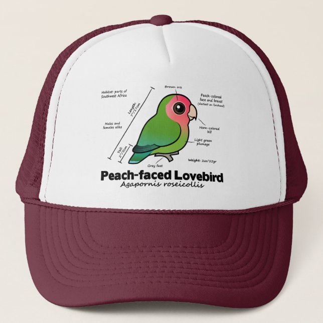 Gorra De Camionero estadísticas Melocotón-hechas frente del Lovebird (Anverso)