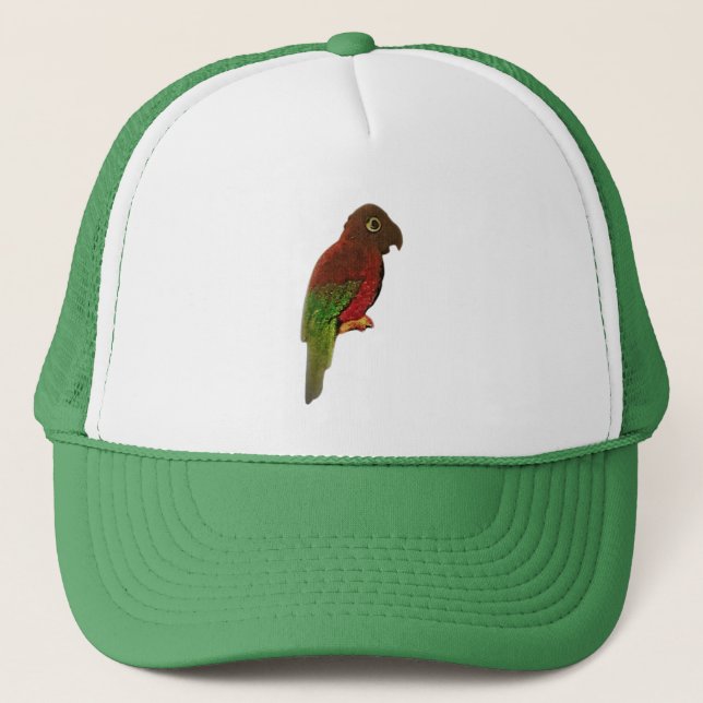 GORRA DE CAMIONERO ESTILO DE ARTE Y DISEÑO DE TAPAS (Anverso)