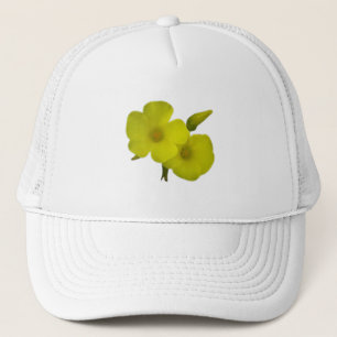 GORRA DE CAMIONERO ESTILO DE ARTE Y DISEÑO DE TAPAS