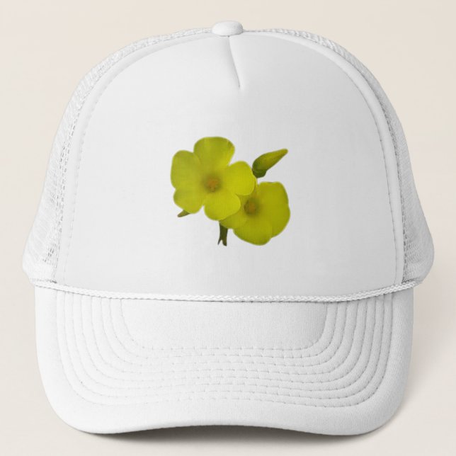 GORRA DE CAMIONERO ESTILO DE ARTE Y DISEÑO DE TAPAS (Anverso)