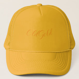 GORRA DE CAMIONERO ESTILO Y DISEÑO DE LA TAPA