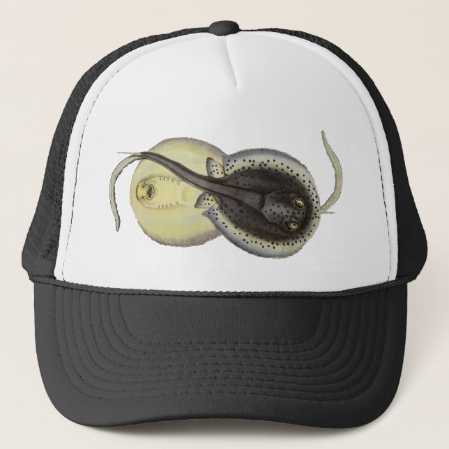 Gorra De Camionero Estingrays vitícolas, animales marinos oceánicos (Anverso)
