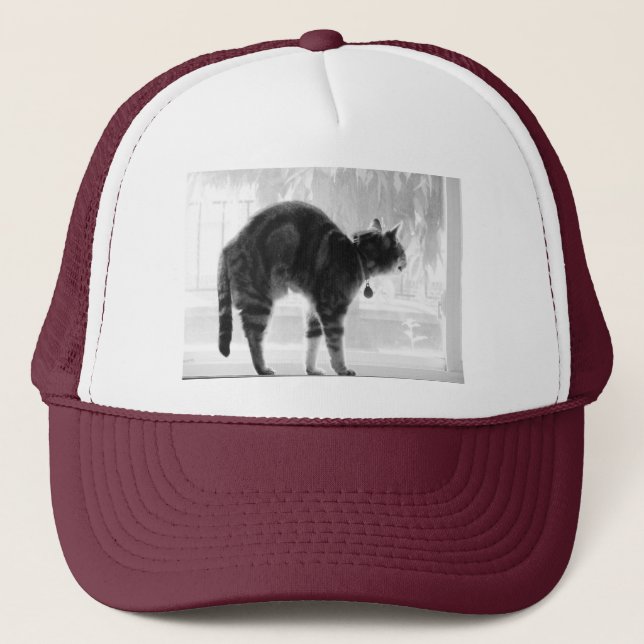 Gorra De Camionero Estirando lápiz índigo (Anverso)