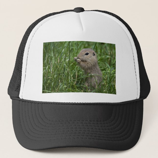 Gorra De Camionero European ground squirrel (Anverso)